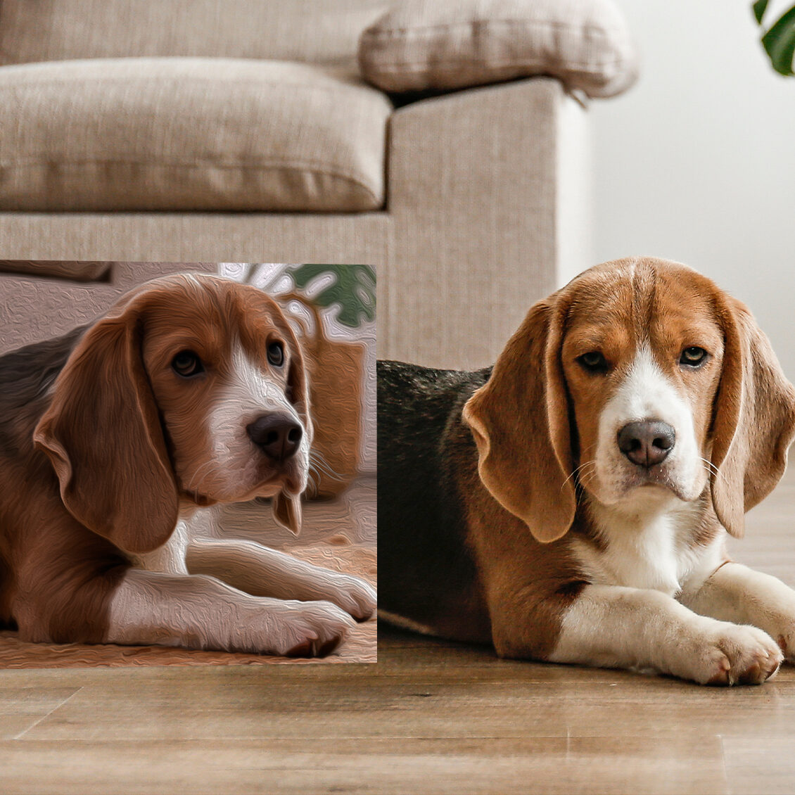 Pet Portraits Canvas Print Pet Portraits Canvas Print